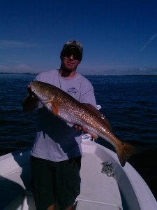 Redfish