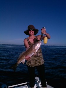 Redfish