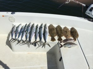 St Pete Beach Fishing 