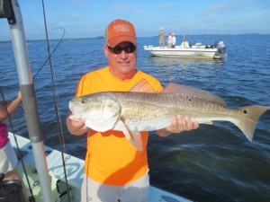 Redfish Fishing Tampa Bay